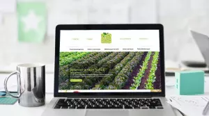 Le site internet de Promofel